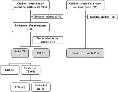 A Model Based on the Combination of IFN-γ, IP-10, Ferritin and 25-Hydroxyvitamin D for Discriminating Latent From Active Tuberculosis in Children